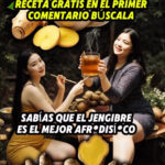 Jengibre: Propiedades, Beneficios, Usos y Cómo Integrarlo de Forma Saludable en tu Vida Diaria