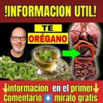 La Próstata: Función, Cuidado y Claves para Mantener una Buena Salud Prostática