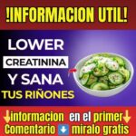 Salud de los Riñones: Guía Completa para el Cuidado Renal y el Bienestar General
