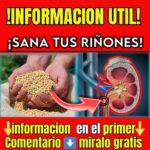 Salud de los riñones: funciones, cuidados y hábitos para protegerlos