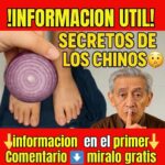 Salud de la próstata: guía completa para el bienestar masculino