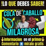 Salud prostática: claves prácticas para cuidar esta glándula esencial de forma diaria