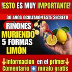 Cómo fortalecer tus riñones y mejorar tu bienestar desde adentro