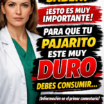 Lo que muchos hombres están incorporando en su rutina para sentirse con más energía, apoyar su próstata y cuidar azúcar y presión para seguir recibiendo mis recetas, solo debes decir algo…..¡gracias!