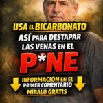 Próstata y Bienestar Masculino: Por Qué la Circulación También Importa