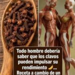 Clavo de Olor y Rendimiento Masculino: ¿Qué Se Sabe Realmente?