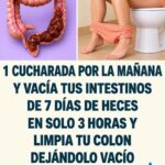 “Limpiar el Colon” en 3 Horas: Lo que Debes Saber Antes de Probar un Remedio Casero