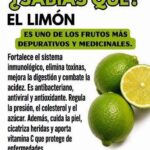 Limón y Salud: Beneficios Reales y Mitos que Conviene Conocer