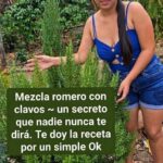 Romero y clavo de olor: una combinación tradicional que conviene conocer bien