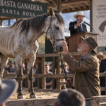 TODOS SE BURLARON DEL ANCIANO POR COMPRAR EL CABALLO MÁS DÉBIL DE LA SUBASTA… PERO NADIE CONOCÍA SU PASADO